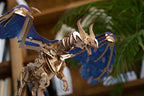 3D Palapeli - 320 palaa - Windstorm lohikäärme - 3Dpalapelit.com