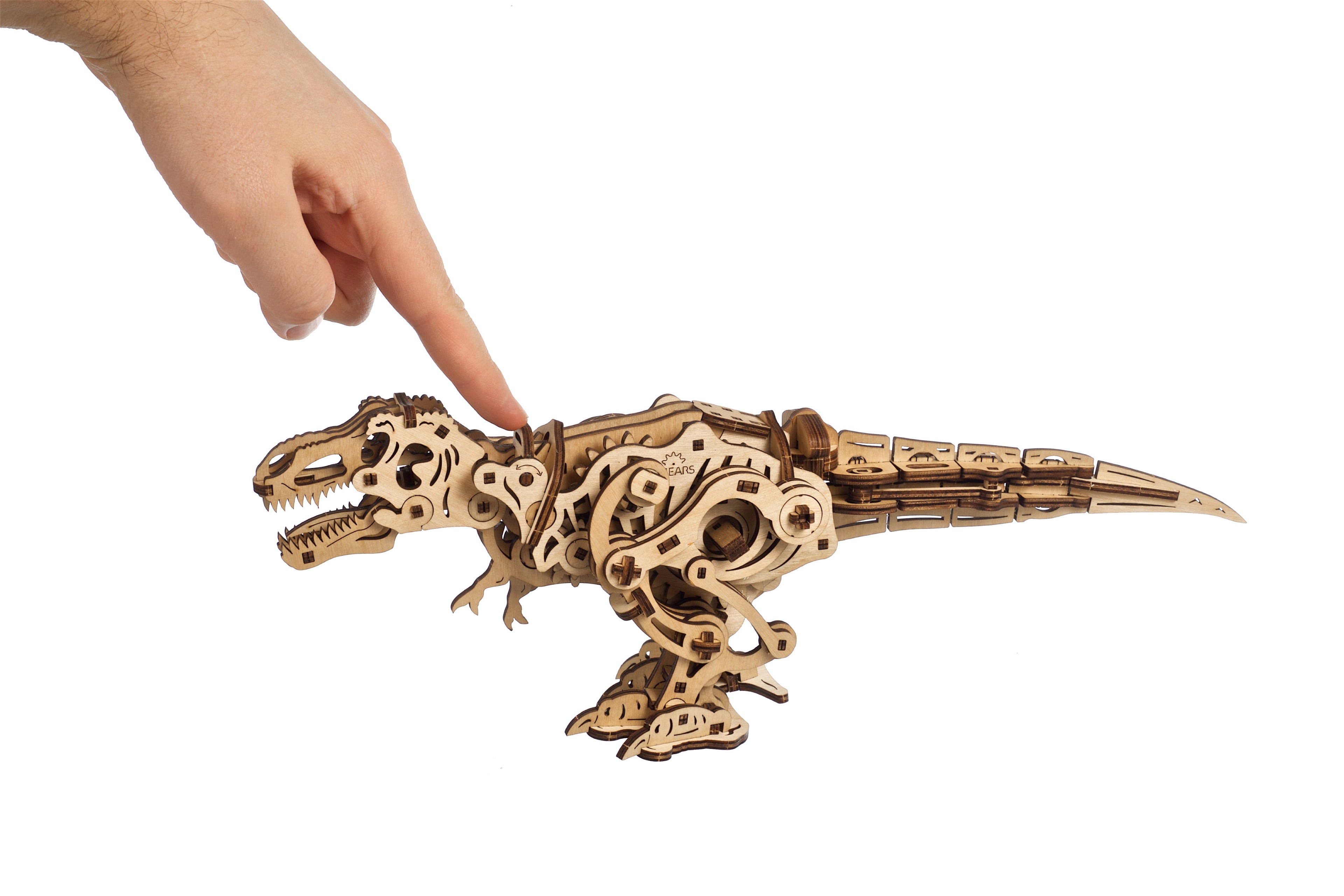 3D palapeli - Tyrannosaurus Rex