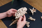 3D palapeli - Triceratops