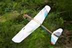 3D Palapeli - 198 palaa - Flight Starter - 3Dpalapelit.com