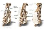 3D Palapeli - 292 palaa - Hurdy-Gurdy - 3Dpalapelit.com